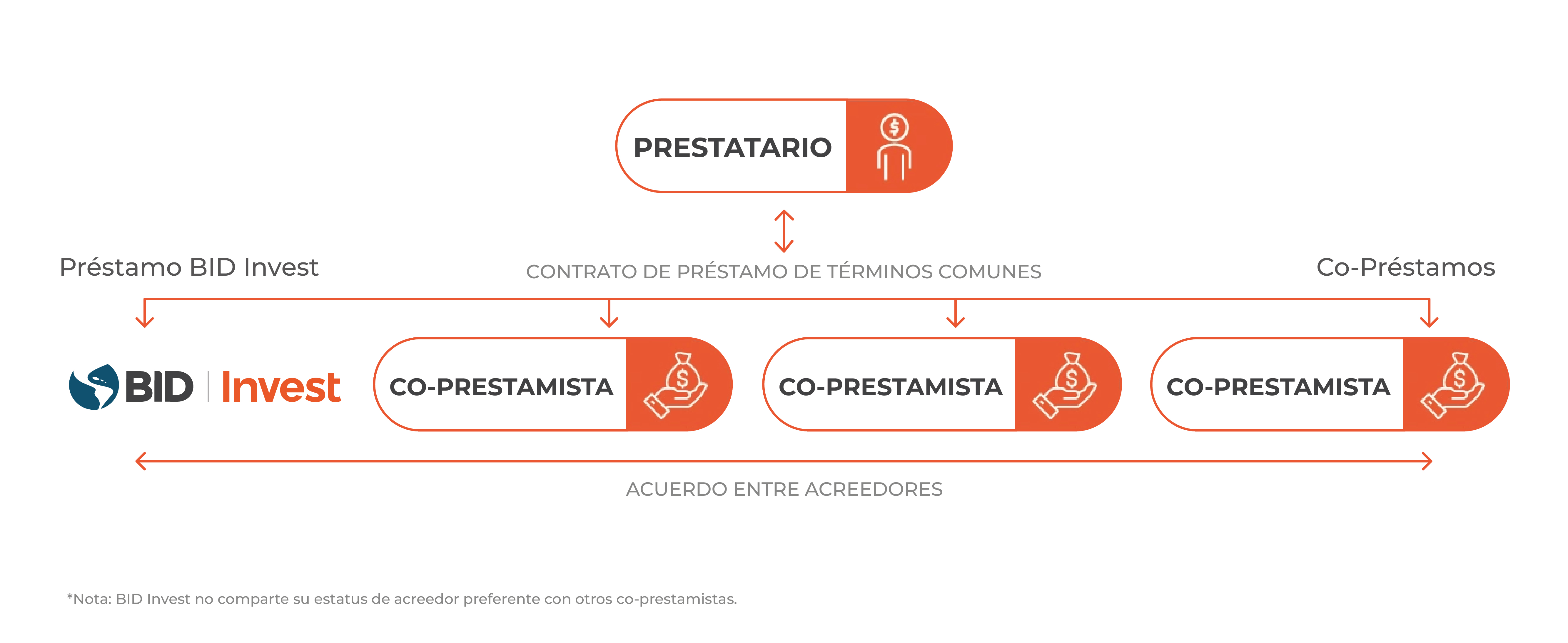Gráfico que explica qué es un co-préstamo
