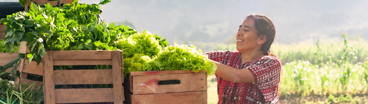 farmer in latin america and the caribbean