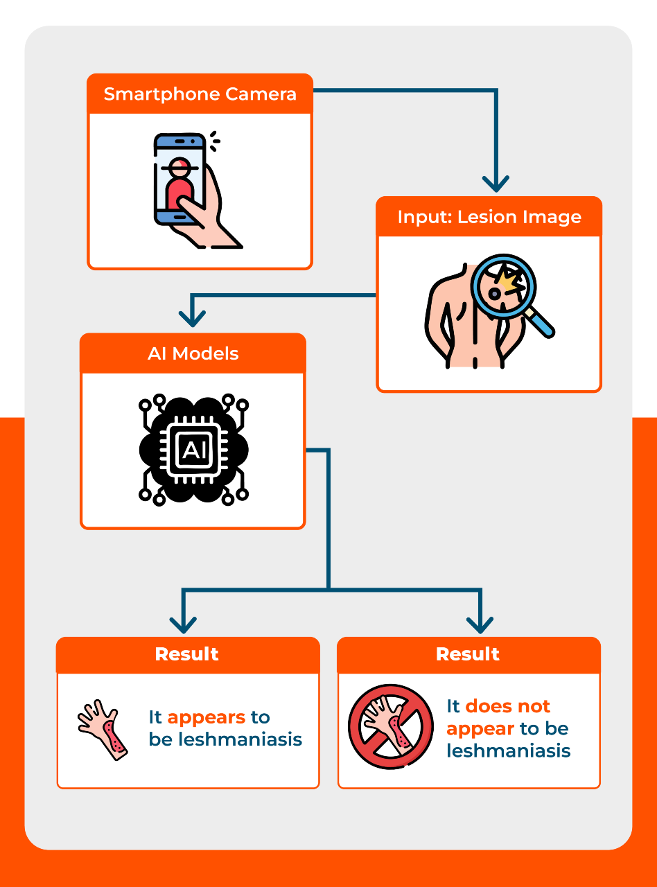 AI-based diagnostic model for Cutaneous Leishmaniasis capable of operating entirely offline, a vital feature for use in remote Amazon regions. 