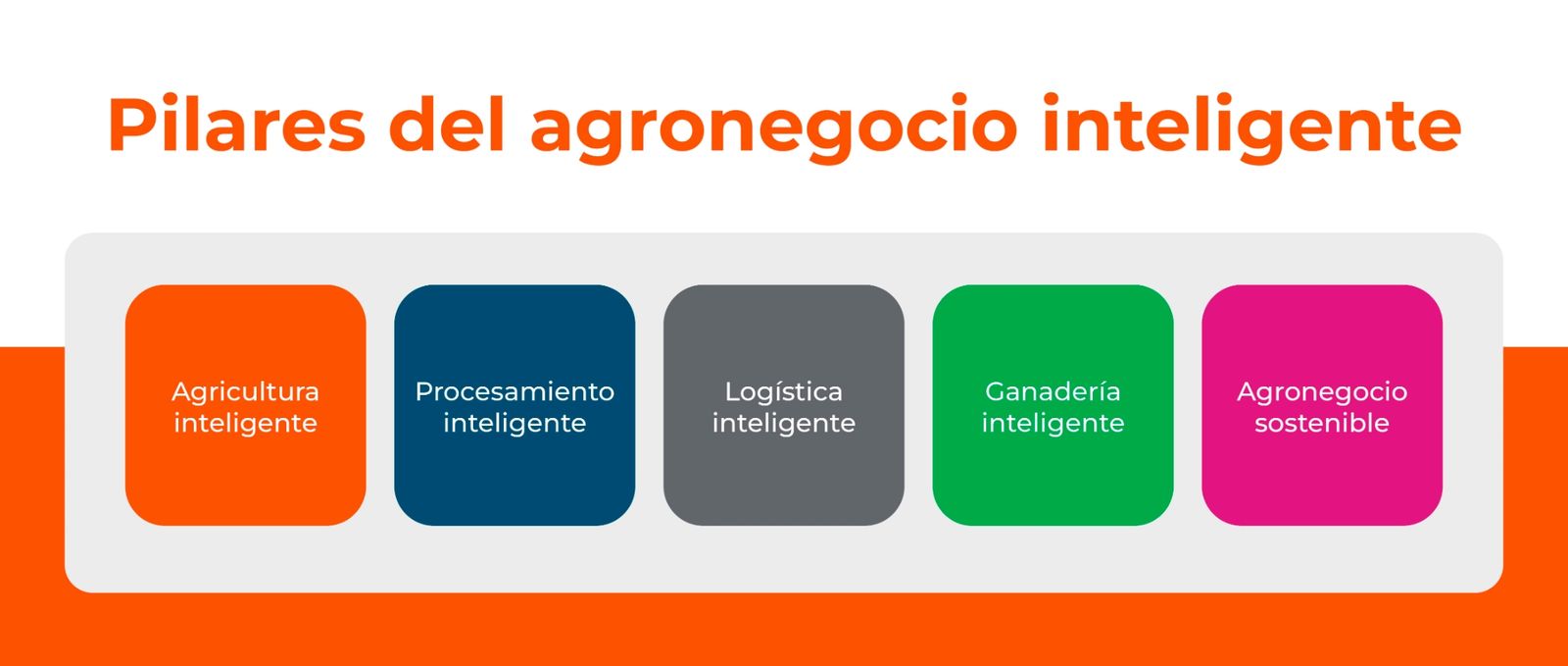 Pilares del agronegocio inteligente