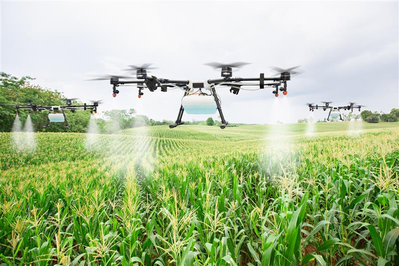Image of drones working over corn crops