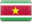 Suriname.png