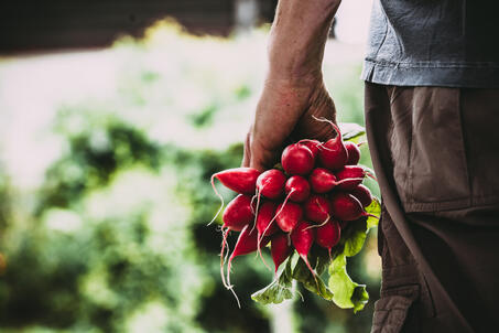 Radishes