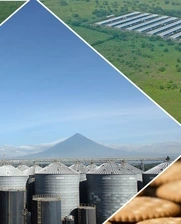 seguridad alimentaria, agronegocios, agricultura, Centroamerica