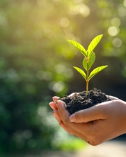 Plant green hands