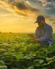 agribusines