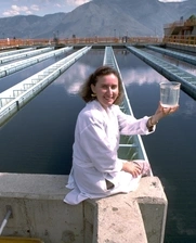 woman engineer testing water and sanitation project
