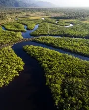 Amazon river