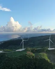 windmills