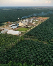 Palm oil processing plant