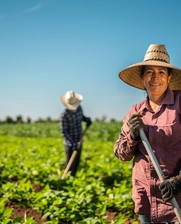 Una mujer en una granja de mini pimientos en México
