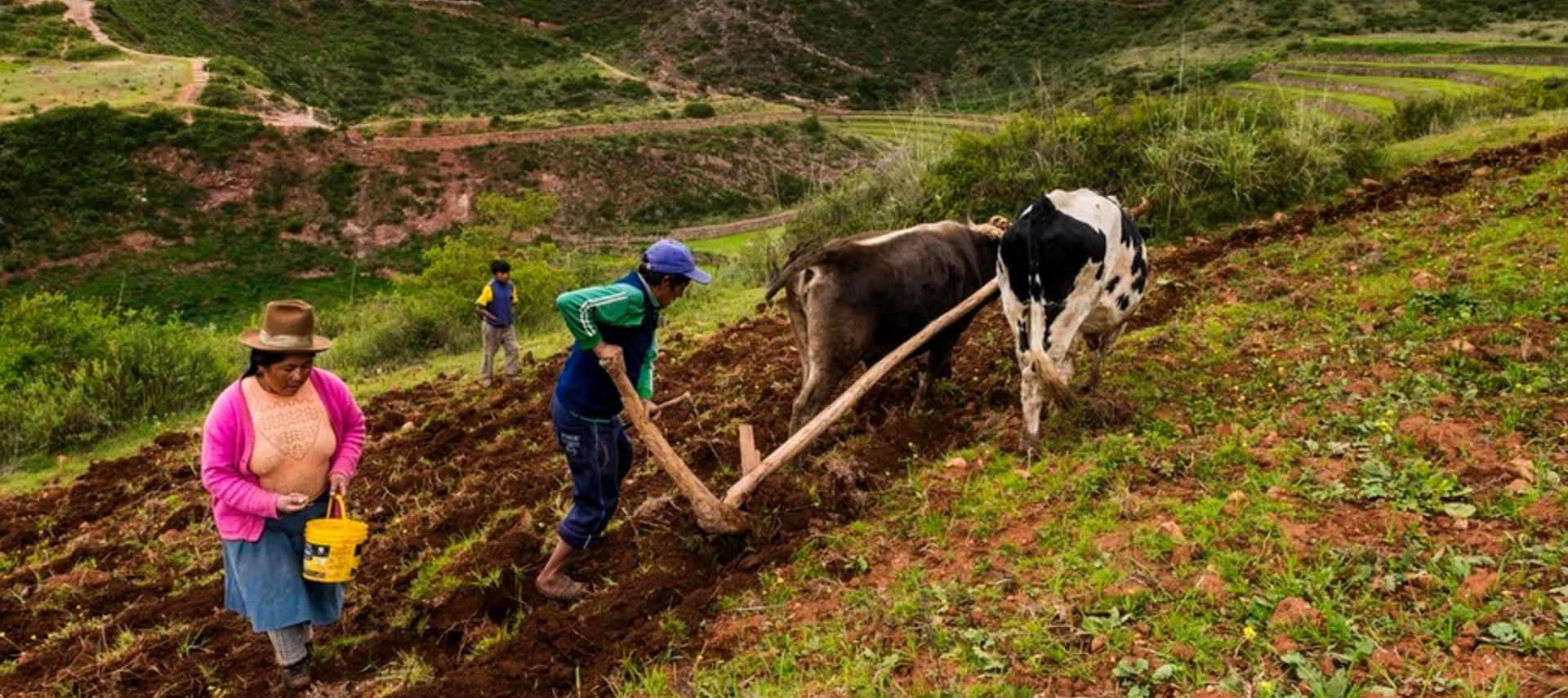 BID Invest, DEG y Rabobank impulsan los agronegocios en Perú vía Ecosac