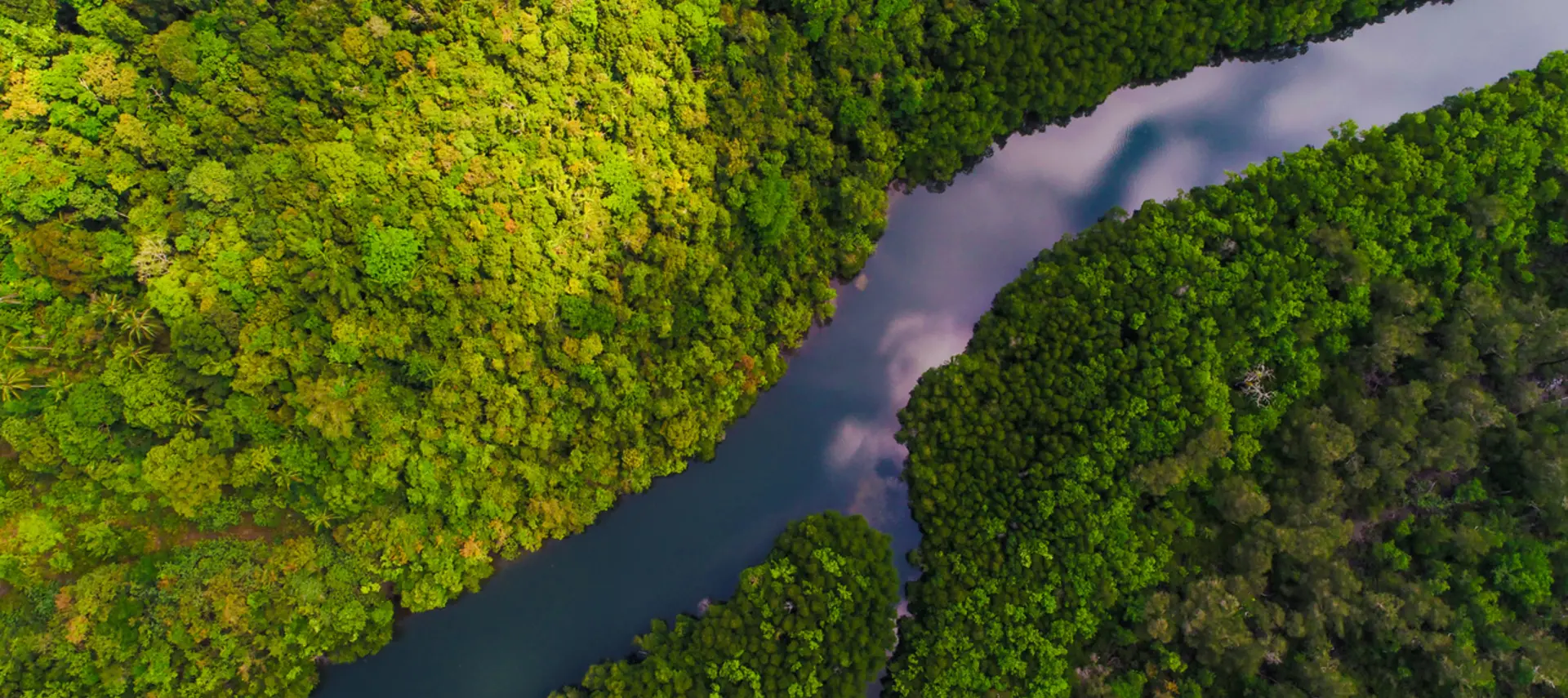 Above image of a river in the Amazon region