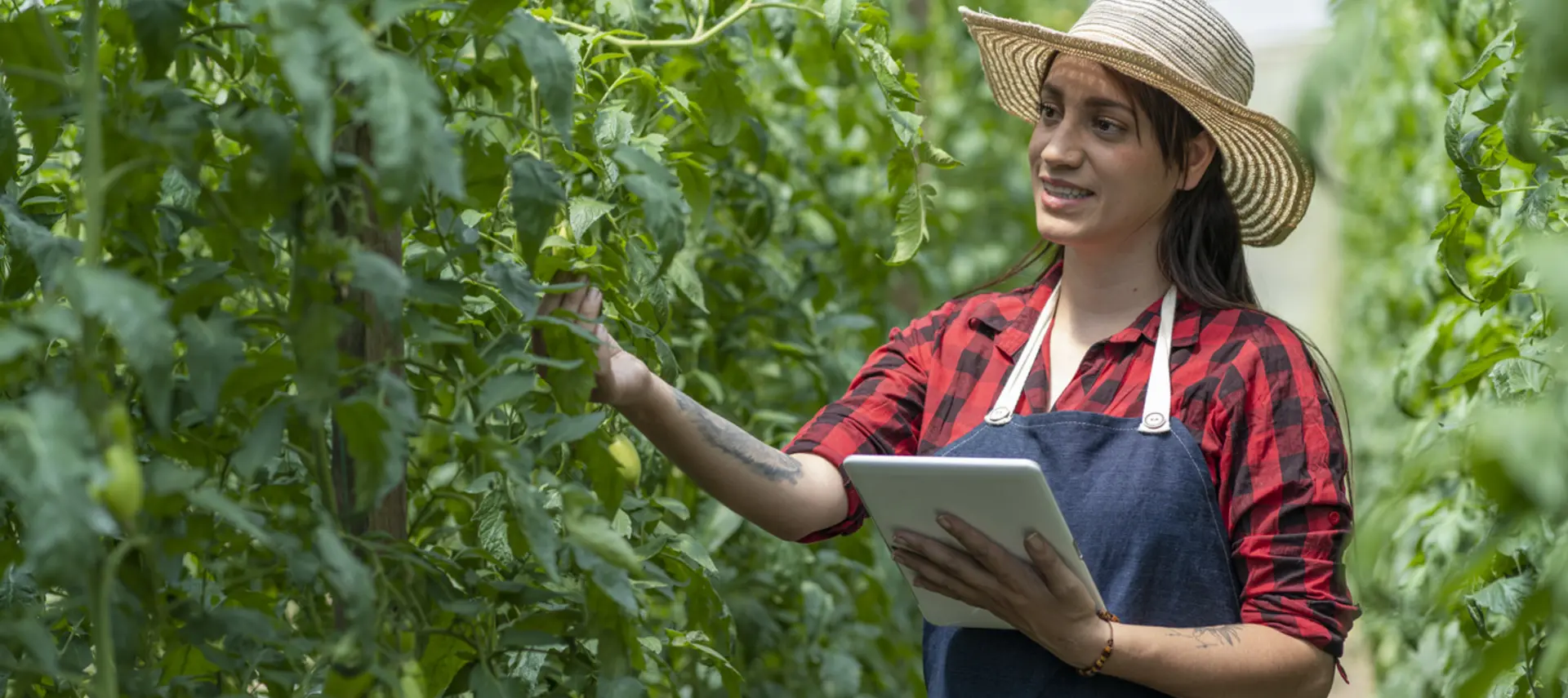 woman farmer in Colombian hat and ipad