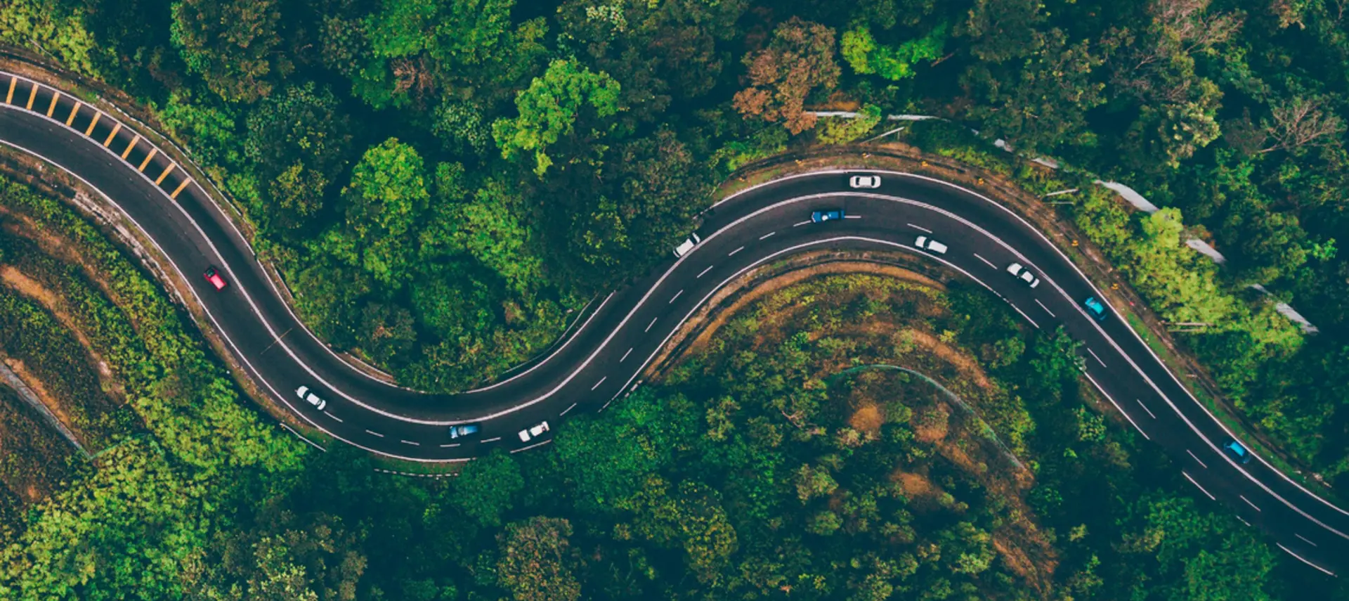 Aerial view of a road in the middle of a forest