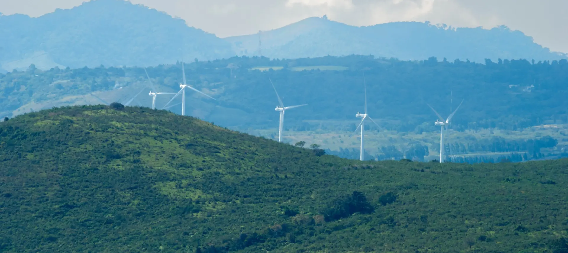 Panoramic view of a wind power mills field in Latin America