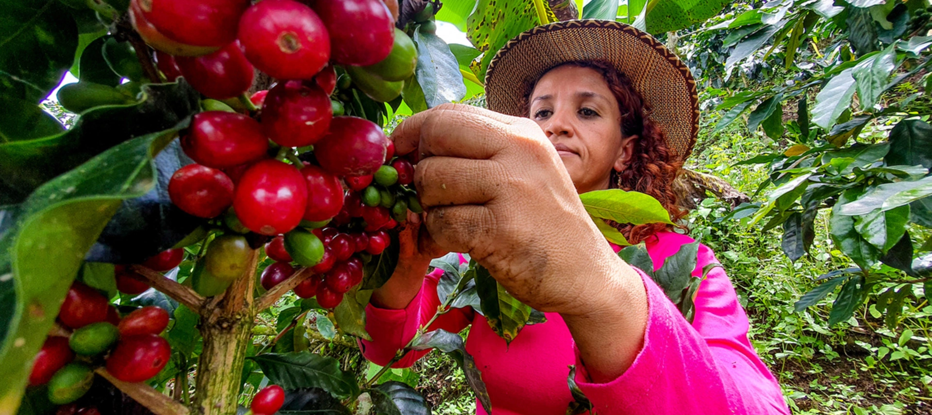 Woman farmer