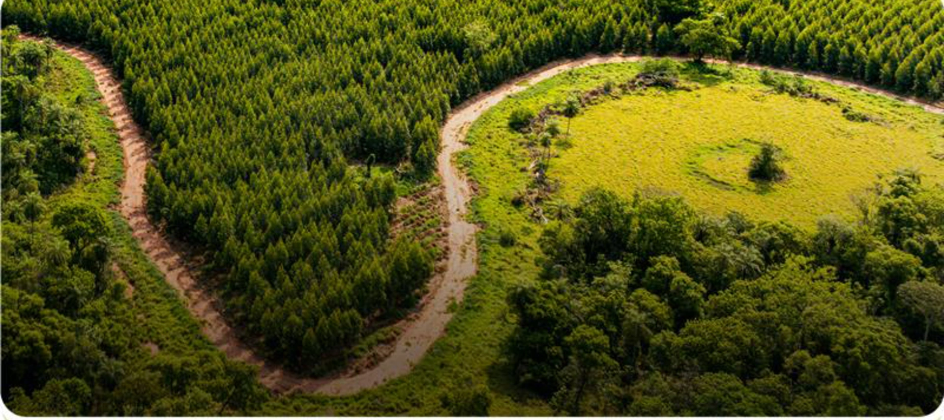 Paracel field on Paraguay