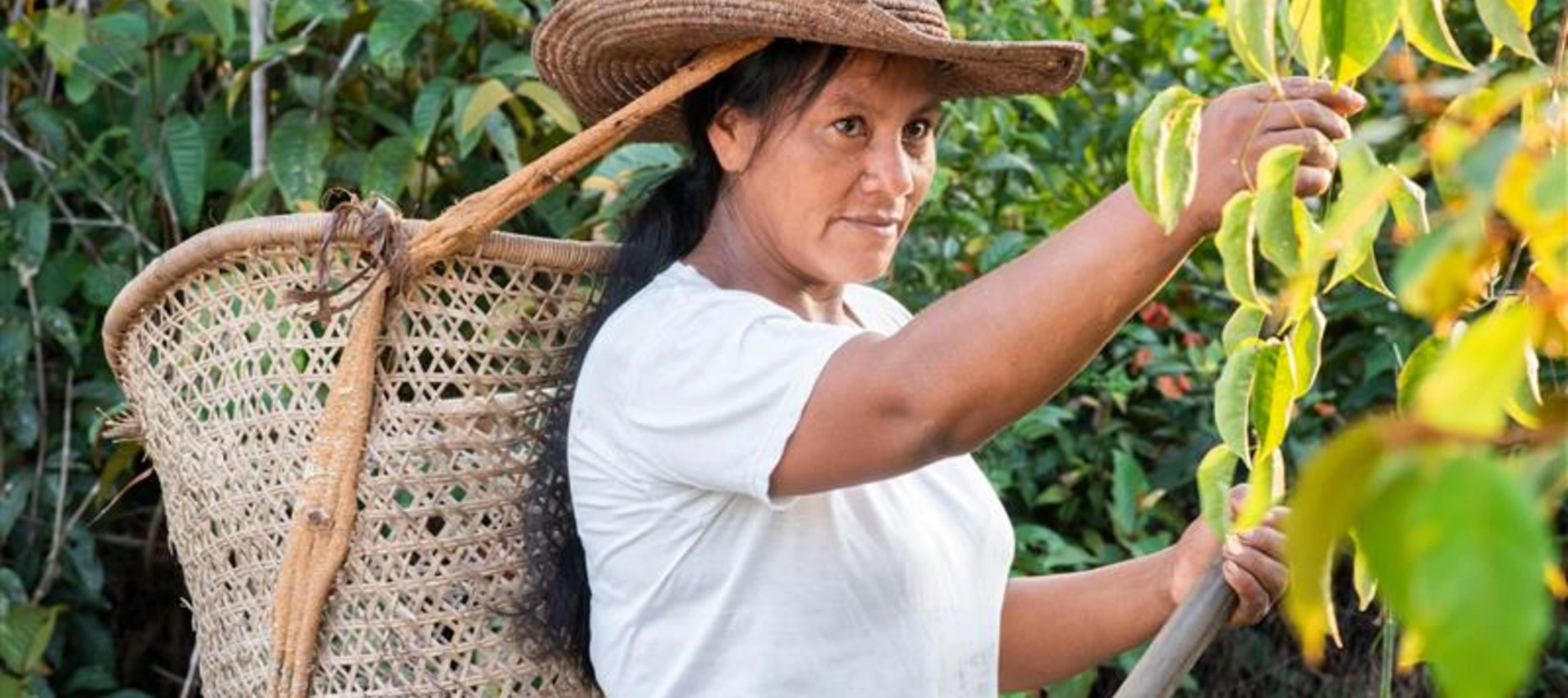 Image of a native woman working in an Amazonic field.