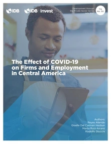 The Effect of COVID-19 on Firms and Employment in Central America