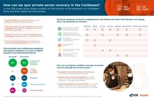 How can we spur private sector recovery in the Caribbean?