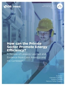 How can the Private Sector Promote Energy Efficiency? A Review of Lessons Learned and Evidence from Latin America and the Caribbean