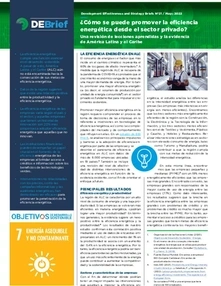 (DEBrief) ¿Cómo se puede promover la eficiencia energética desde el sector privado?  Una revisión de lecciones aprendidas y la evidencia de América Latina y el Caribe