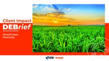DEBrief de Impacto de Cliente: Sicredi Green Financing