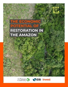 El potencial económico de la restauración en la Amazonía