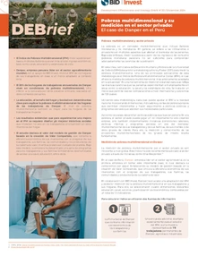 Pobreza multidimensional y su medición en el sector privado: El caso de Danper en el Perú