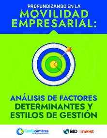 A Deeper Look at Business Mobility: Analysis of Success Factors and Management Styles