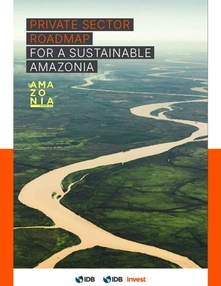 Private Sector Roadmap for a Sustainable Amazonia