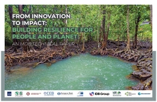 From Innovation to Impact: Building Resilience for People and Planet - An MDB Technical Paper