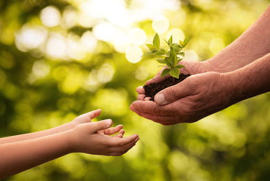 An old person gives a plant to a kid