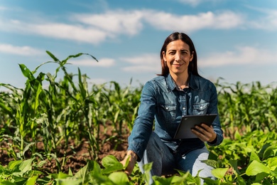 Mulher em um campo de cultivo usando plataformas digitais para a produção agrícola.