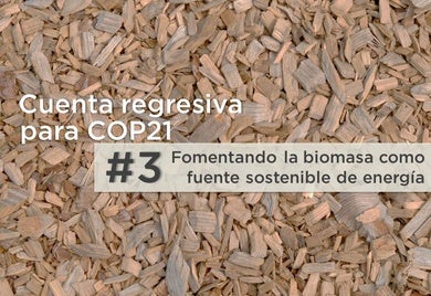 5 razones para reconsiderar la biomasa en Latinoamérica