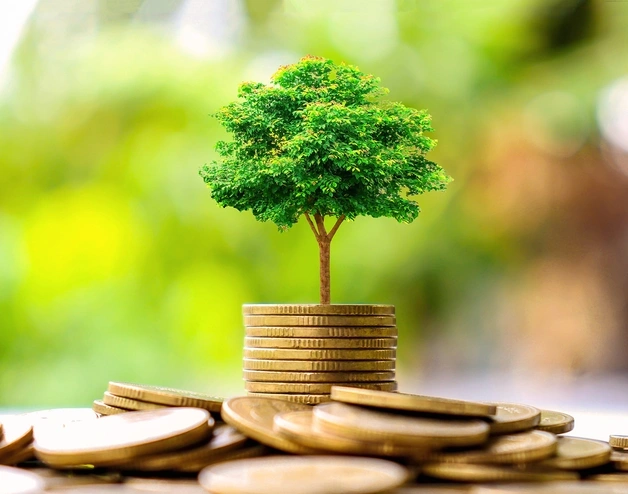 Image showing a tree growing out of a bunch of coins