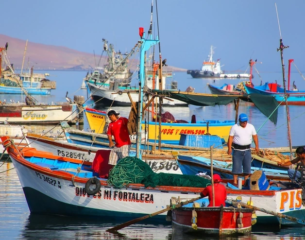 Fishing boats in Peru