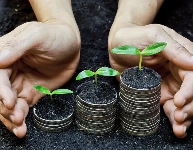 Plant sprouts on coins