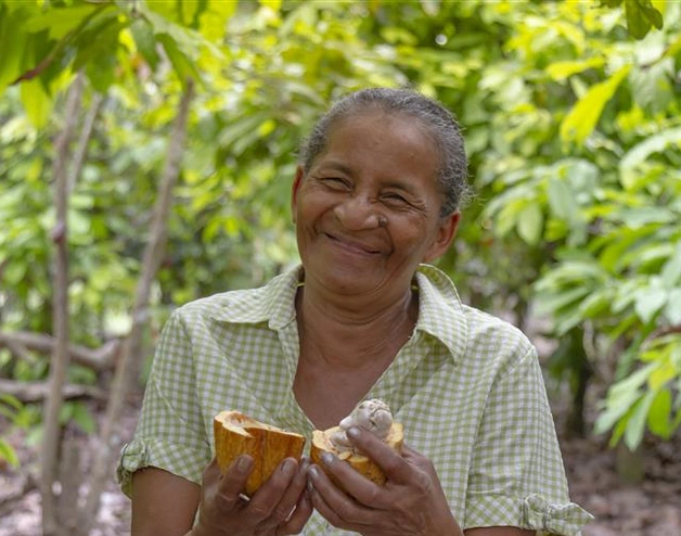 La foto muestra una mujer trabajando cultivando cacao en un proyecto de agricultura resiliente en América Latina 