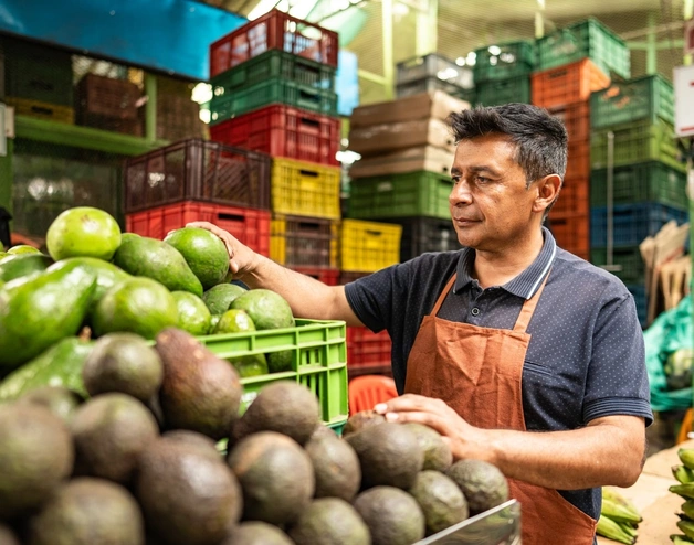 Un vendedor de paltas en Perú 