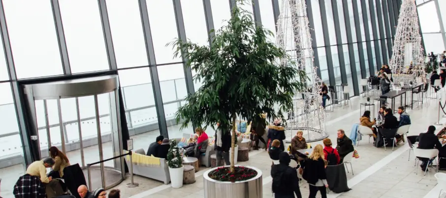 Negocios Sostenibles