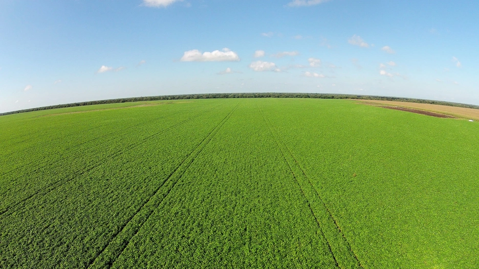 Desdelsur foto 1.JPG