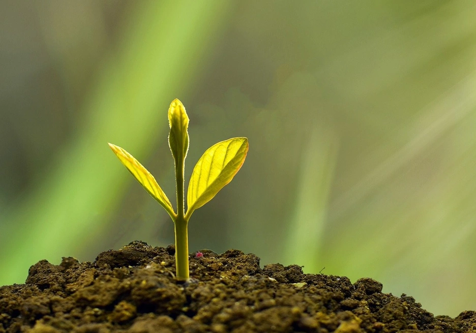 Financing green investments in Peru