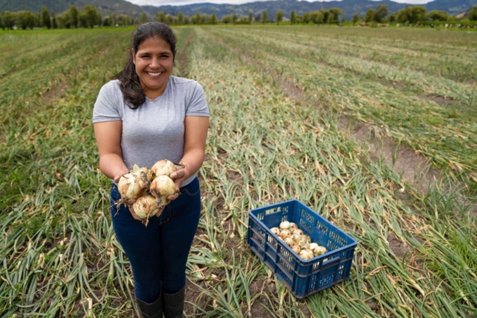 Mujer colombiana cultivando cebollas