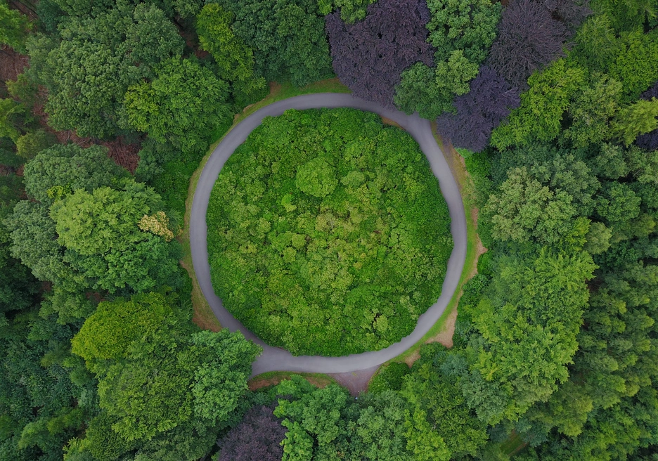 Circular road in forest
