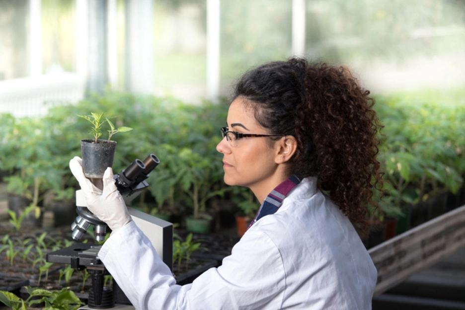 Woman working in agrochemicals