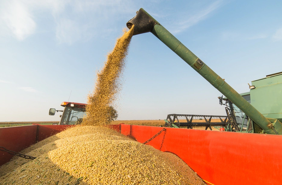 Production and export of grains in Argentina