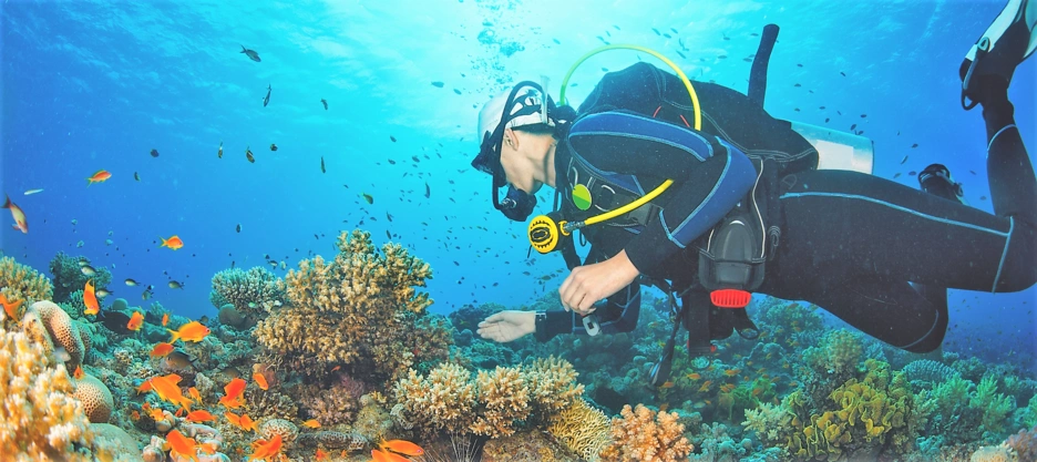 Scuba diver next to coral reefs