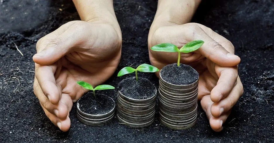 Plant sprouts on coins